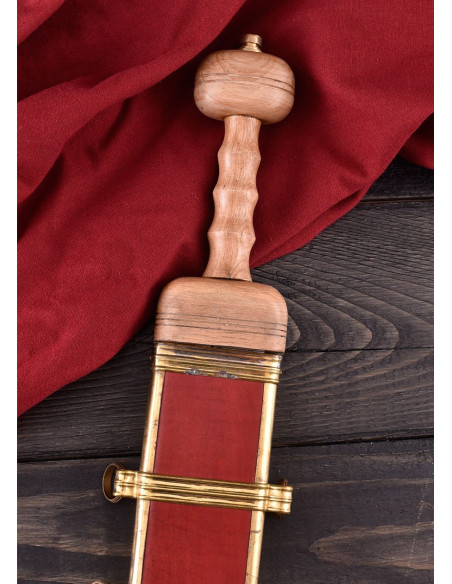 Gladius Pompeii with scabbard Gladius Pompeii with scabbard