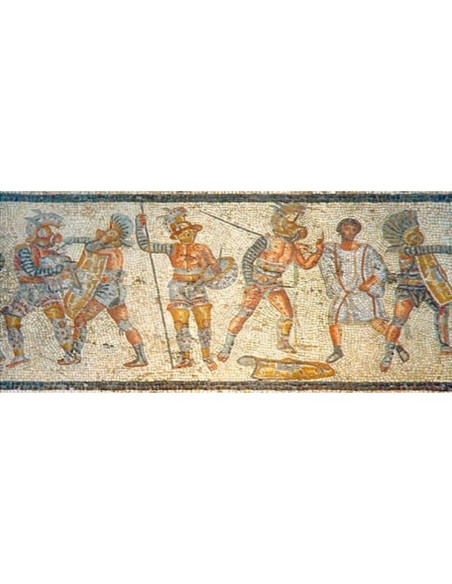 Gladiator arm protection Gladiator arm protection