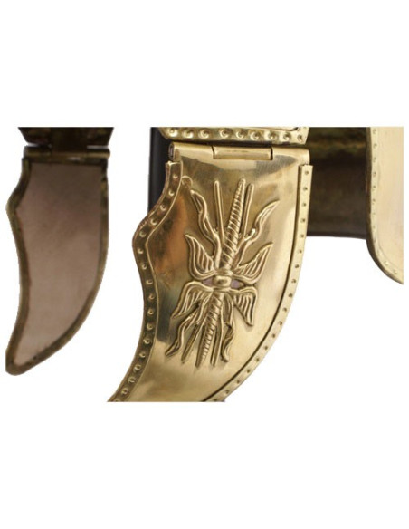 Greek helmet with plume