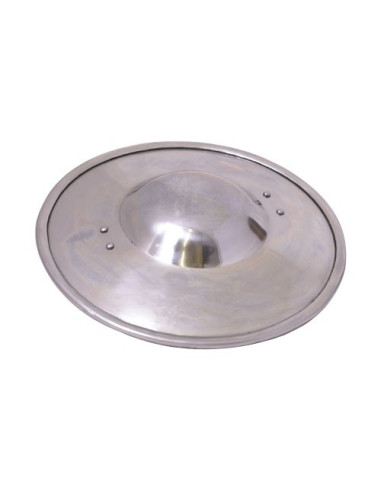 functional medieval shield