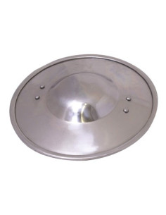 functional medieval shield