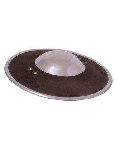 functional medieval shield 2