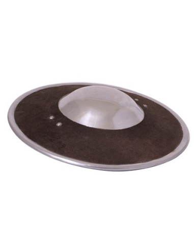 functional medieval shield