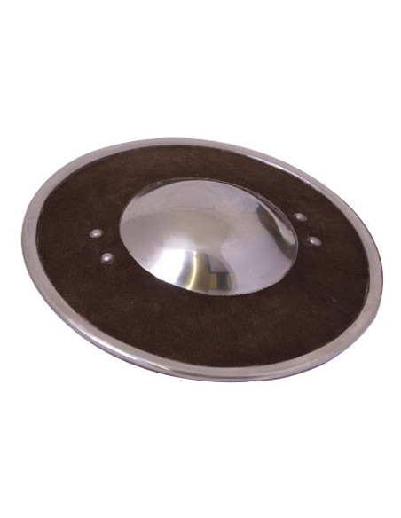 functional medieval shield