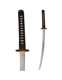 Iaito wakizashi John Lee Red Wood 2