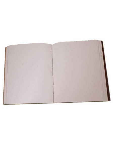 Diary Pentagram 25x20 cm.