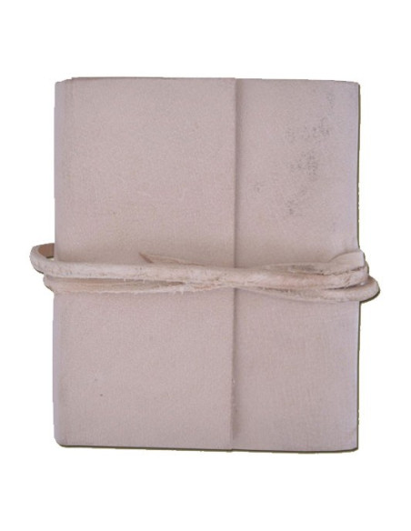 medieval pocket diary