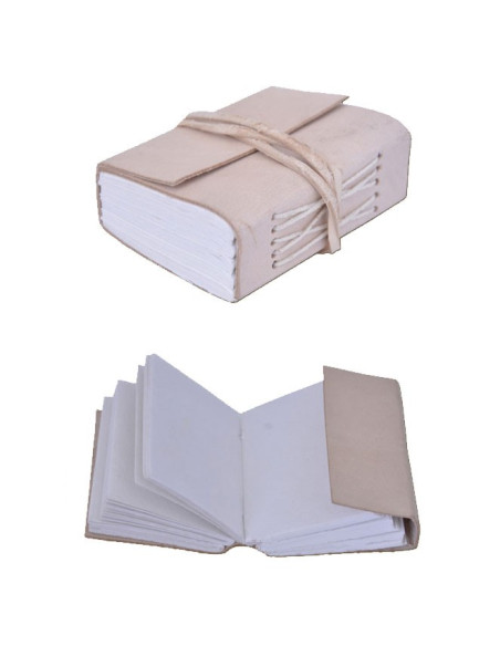 medieval pocket diary