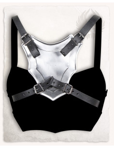 Armor for women in steel 2