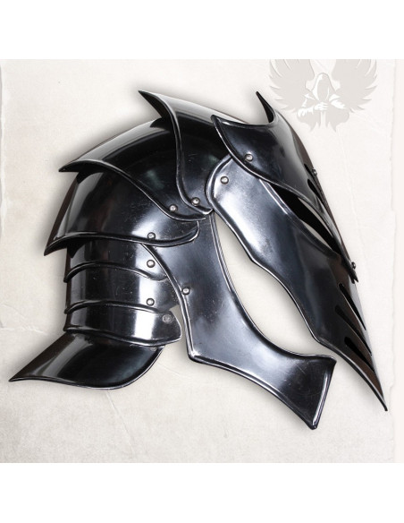 Reginalt Fantastic Helmet