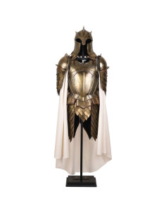 Royal Guard armor brass steel 2