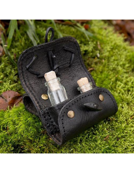 Bag for 2 magic potions