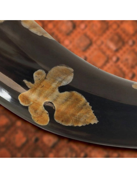 Olga's Viking horn, 38 cms.