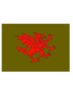 Medieval red dragon flag
