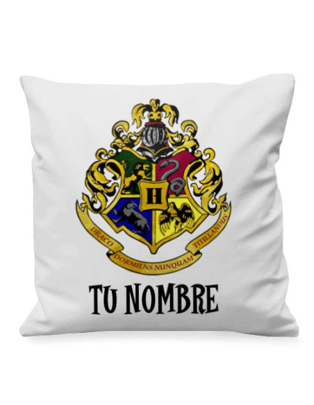 Harry Potter Magic School Cushion