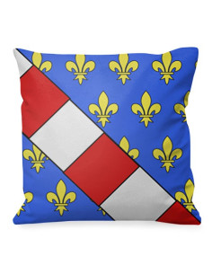Medieval cushion Louis of France Shield