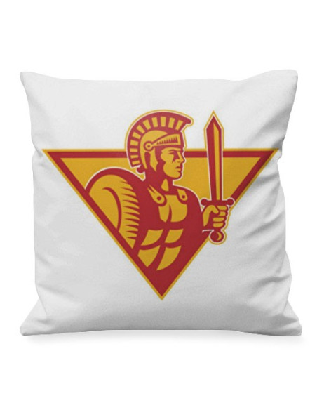 Roman Legion soldier cushion