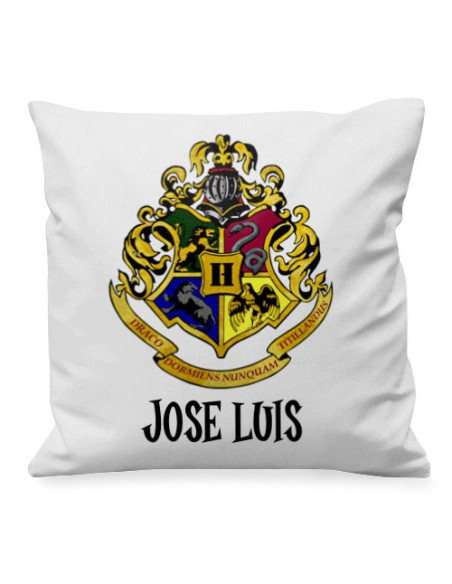Harry Potter Magic School Cushion