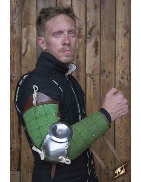 Paladin Full Arm Protection