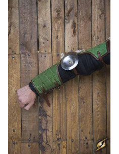 Paladin Full Arm Protection 2