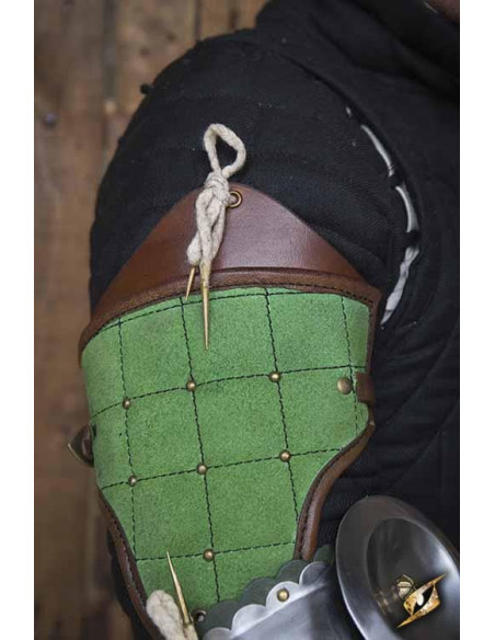Paladin Full Arm Protection