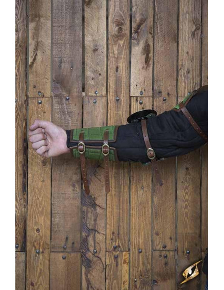 Paladin Full Arm Protection