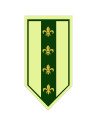 Medieval Green Fleur de Lis Banner