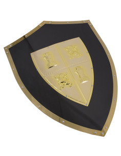 Castilla y León black shield
