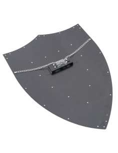 Castilla y León black shield 2