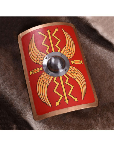 Roman Turtle Shield for children