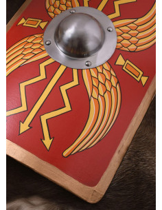 Roman Turtle Shield for children 2