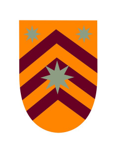 Medieval banner Stars on bars