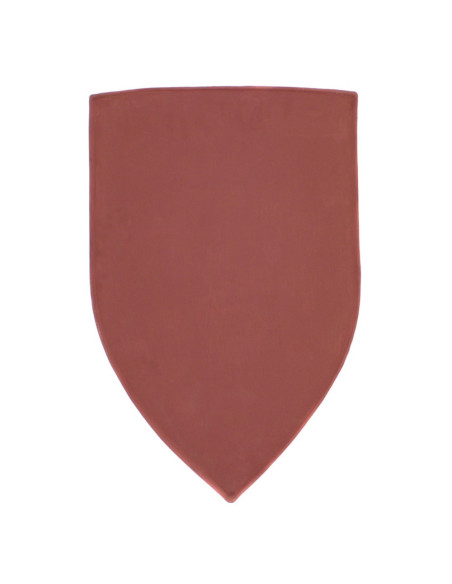 steel shield for painting