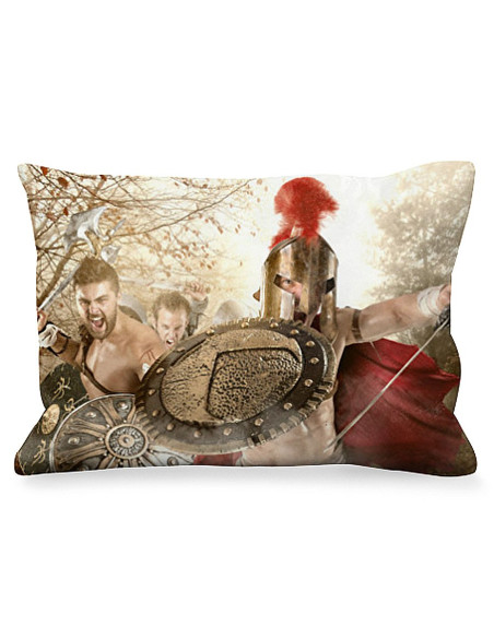 Rectangular Cushion Spartans Fight