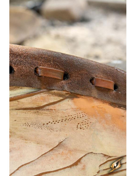 Celtic Shield Thegn Blue-White in...