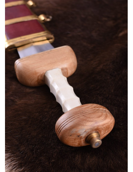 Roman sword Gladius Mainz with...