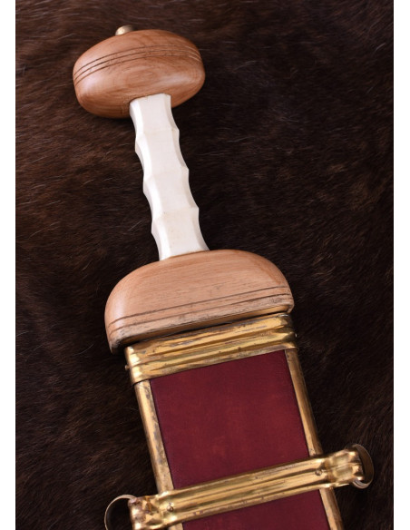 Roman sword Gladius Mainz with...