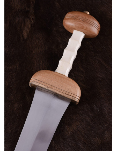 Roman sword Gladius Mainz with...