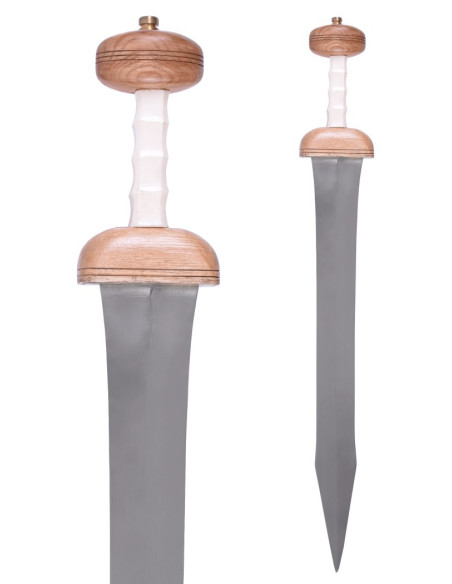 Roman sword Gladius Mainz with...