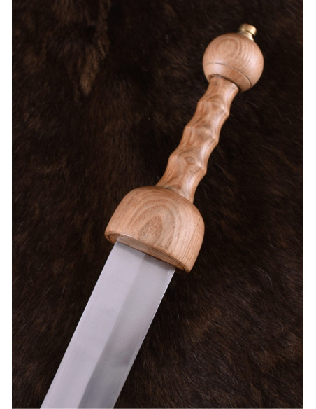 Roman sword Gladius Pompeii with...