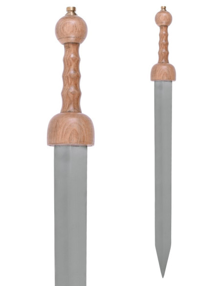 Roman sword Gladius Pompeii with...