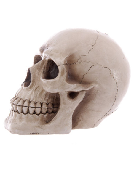 Piggy bank-Skull to save your savings