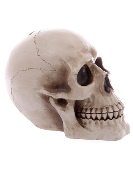 Piggy bank-Skull to save your savings