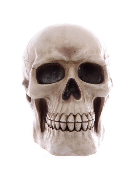 Piggy bank-Skull to save your savings