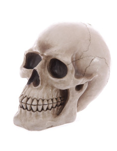 Piggy bank-Skull to save your savings