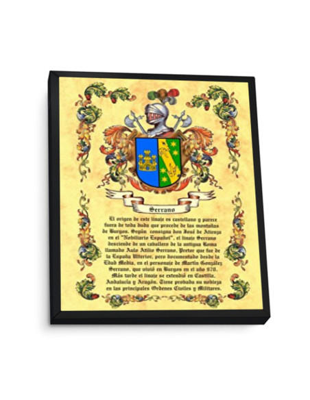 Heraldic shields picture 1 surname,...