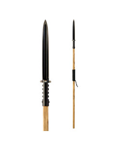 Launches Asmat Condor functional
