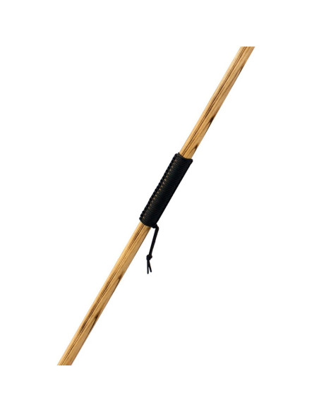 Launches Asmat Condor functional