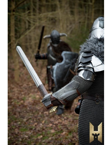 Viking sword Dreki Stronghold series,...