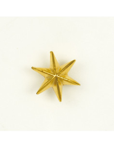 Metallic 6-pointed star for uniform